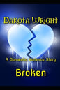 Broken: A Domestic Violence Story - Paperback