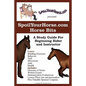SpoilYourHorse.com Horse Bits: A Study Guide For Beginning Rider and Instructor - Paperback