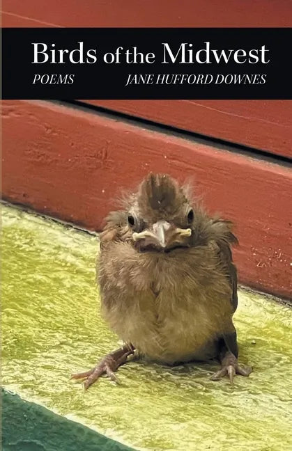 Birds of the Midwest - Paperback