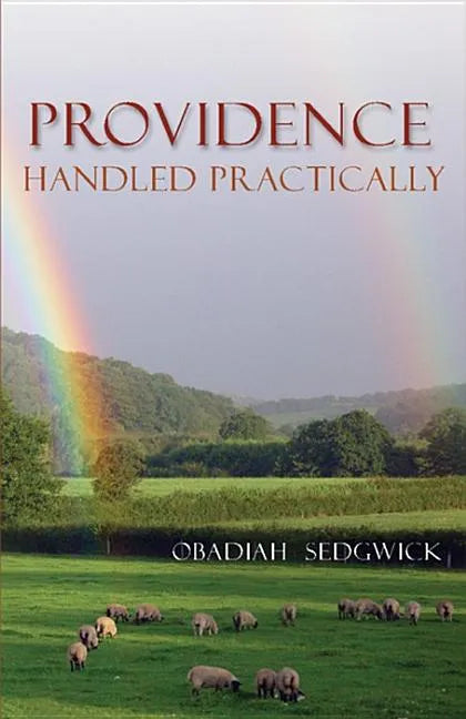 Providence Handled Practically - Paperback