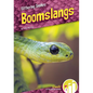 Boomslangs - Library Binding