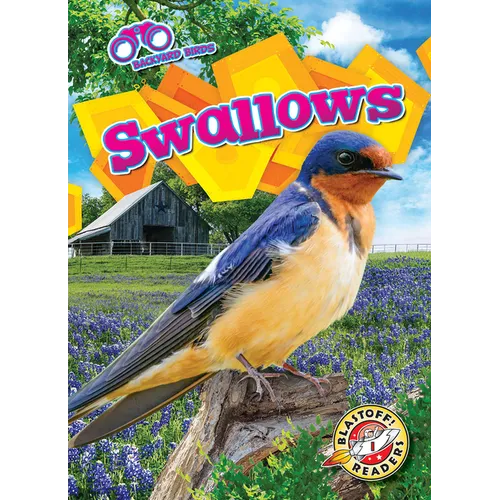 Swallows - Library Binding