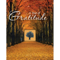 A Year of Gratitude (Deluxe Prayer Book) - Hardcover