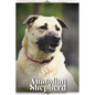 Anatolian Shepherd: Dog breed overview and guide - Paperback