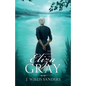 The Colors of Eliza Gray - Paperback