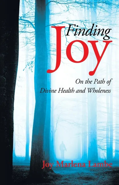 Finding Joy: On the Path of Divine Health and Wholeness - Paperback