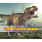 Tyrannosaurus Rex - Paperback