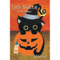 Little Black Cat Finds a Home - Hardcover