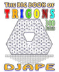 The big book of Trigons: 300 puzzles - Paperback