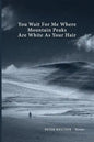You Wait For Me Where Mountain Peaks Are White As Your Hair - Paperback