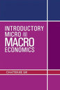 Introductory Micro and Macro Economics - Paperback