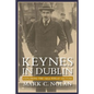 Keynes in Dublin: Exploring the 1933 Finlay Lecture - Paperback