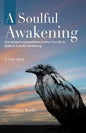 A Soulful Awakening: One Woman's Extraordinary Journey From Life to Death to a Soulful Awakening - Paperback