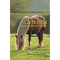 Laminitis: A Scientific and Realistic Approach - Paperback