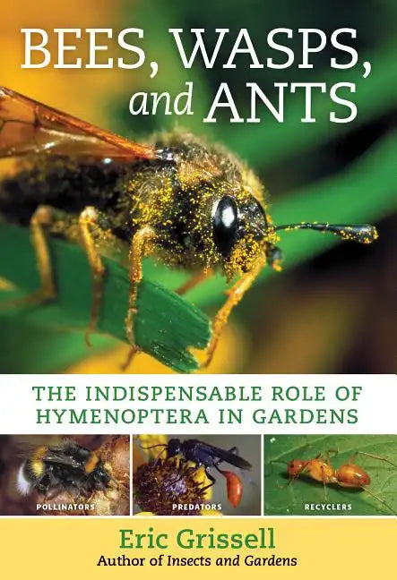 Bees, Wasps, and Ants: The Indispensable Role of Hymenoptera in Gardens - Paperback