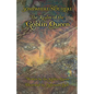 Somewhere/Not/Here: The Realm of the Goblin Queen - Paperback