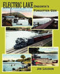 Electric Lake: Oneonta's Forgotten Gem - Paperback