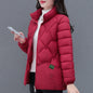 Winter Women's Down Cotton Top