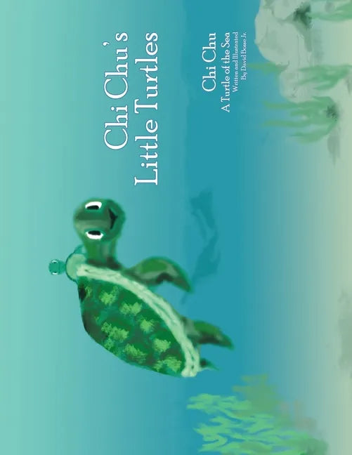 Chi Chu's Little Turtles: Chi Chu a Turtle of the Sea - Paperback