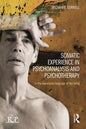 Somatic Experience in Psychoanalysis and Psychotherapy: In the Expressive Language of the Living - Paperback