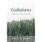 Galatians: Freedom in the New Age - Paperback