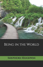 Being in the World - Paperback