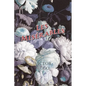 Les Misérables - Paperback