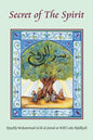 Secret of the Spirit - Paperback