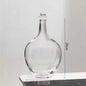 Big Glass Vase Living Room Dried Flowers Nordic Ins Style Glass