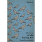 Secrets of the Racing Ace - Pigeon Racing Secrets - Paperback
