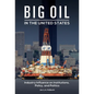 Big Oil in the United States: Industry Influence on Institutions, Policy, and Politics - Hardcover