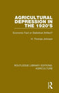 Agricultural Depression in the 1920's: Economic Fact or Statistical Artifact? - Paperback