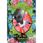 Morning Glory Diary of an Alien Abductee - Paperback