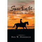 Sweetwater: The Return Home - Paperback