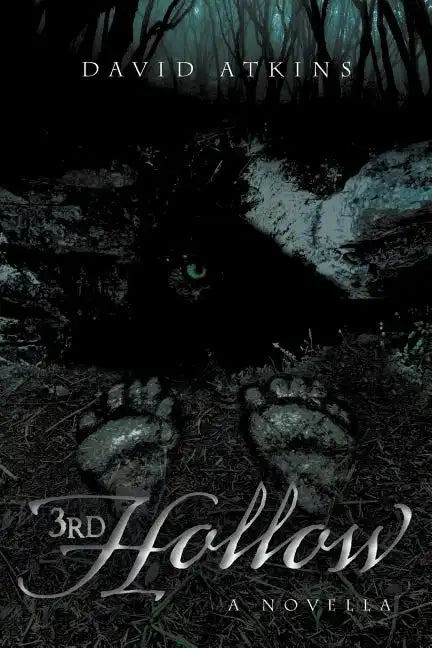 3rd Hollow - Paperback