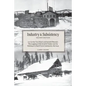 Industry and Subsistency: E. F. Cartier Van Dissel and Sawmill Phoenix; The Logging of Old-Growth Timber and the Making of a Small Farm Communit - Paperback