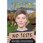 A Lancaster Amish School for Jacob - Paperback