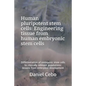 Human Pluripotent Stem Cells: Engineering Tissue from Human Embryonic Stem Cells: Differentiation of Embryonic Stem Cells to Clinically Relevant Pop - Paperback