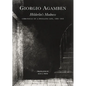 Hölderlin's Madness: Chronicle of a Dwelling Life, 1806-1843 - Hardcover