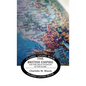 Geographical Reader Book 2: The British Empire and the Great Divisions of the Globe - Hardcover