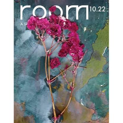 ROOM: A Sketchbook for Analytic Action 10.22 - Paperback