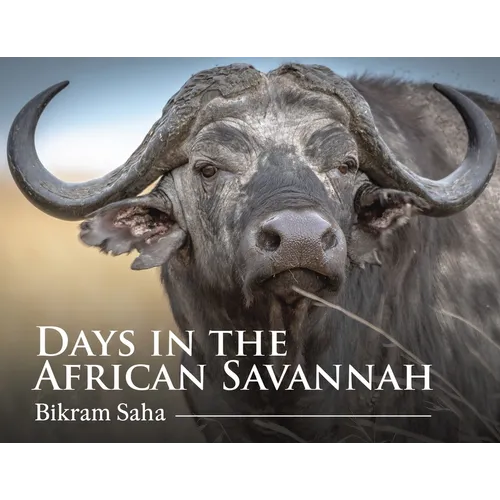 Days in the African Savannah - Paperback