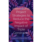 International Project Strategies to Reduce the Negative Impact of Triple Constraints - Hardcover