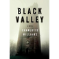 Black Valley - Paperback