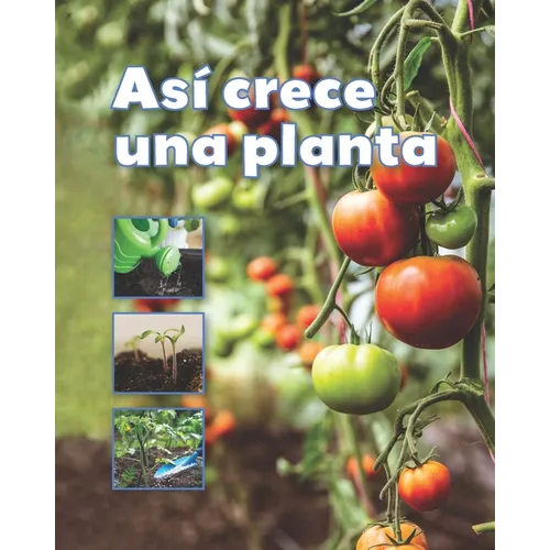 Así Crece Una Planta - Paperback