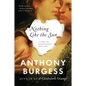 Nothing Like the Sun: A Story of Shakespeare's Love-Life - Paperback