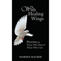 With Healing Wings: Prayers for Those Who Hurt & Those Who Care - Hardcover