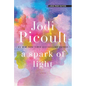 A Spark of Light - Library Binding