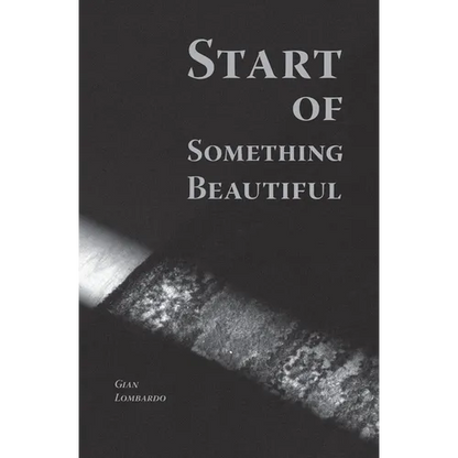 Start of Something Beautiful - Paperback
