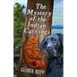 The Mystery of the Indian Carvings - Paperback